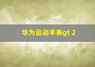 华为运动手表gt 2